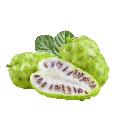 Noni Fruits